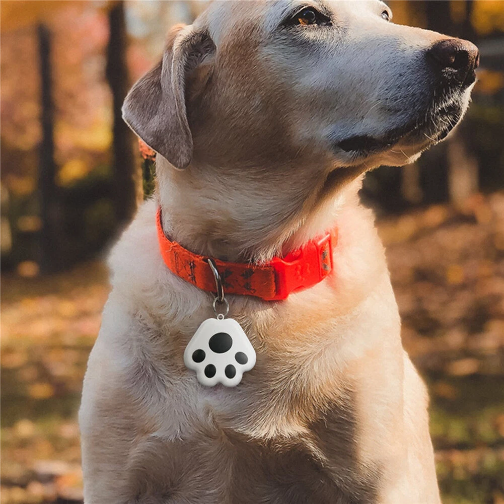 Wireless pet tracker 2025