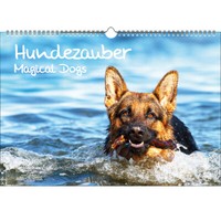 Hundezauber GroßE Hunde Din A3 ImmerwäHrender Kalender Welpen Und Hunde - Seelen