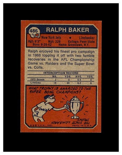 1973 TOPPS FOOTBALL YOU PICK FINISH OR UPGRADE YOUR SET HIGHER GRADE SET BREAK - Picture 345 of 457