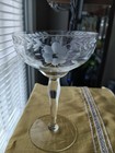 Princes House Crystal 20 stems wine goblets and sherbet/desert glasses — photo 2