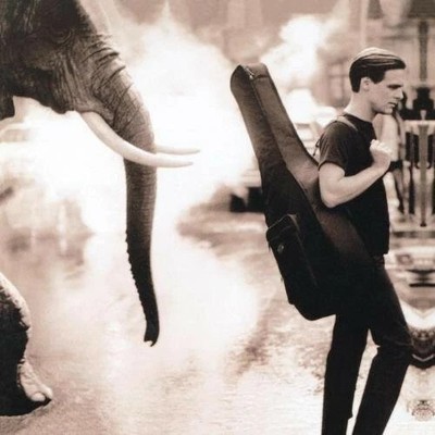 Bryan Adams x 3 On A Day Like Today / Waking Up The Neighbourhood / Reckless CDs