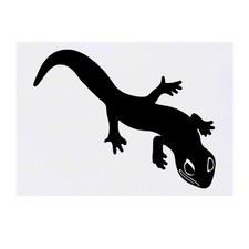 'Gecko' Temporary Tattoos / Transfers TO00029269 