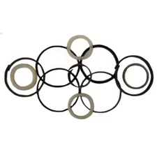 1542764C2 Hydraulic Cylinder Seal Kit Fits Case 550E 550G