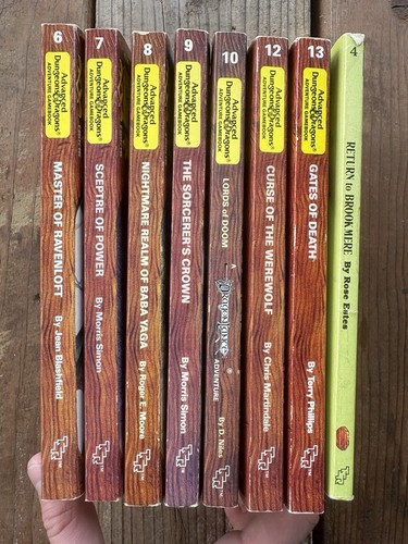Vintage 1980s Advanced Dungeons & Dragons chapter book set