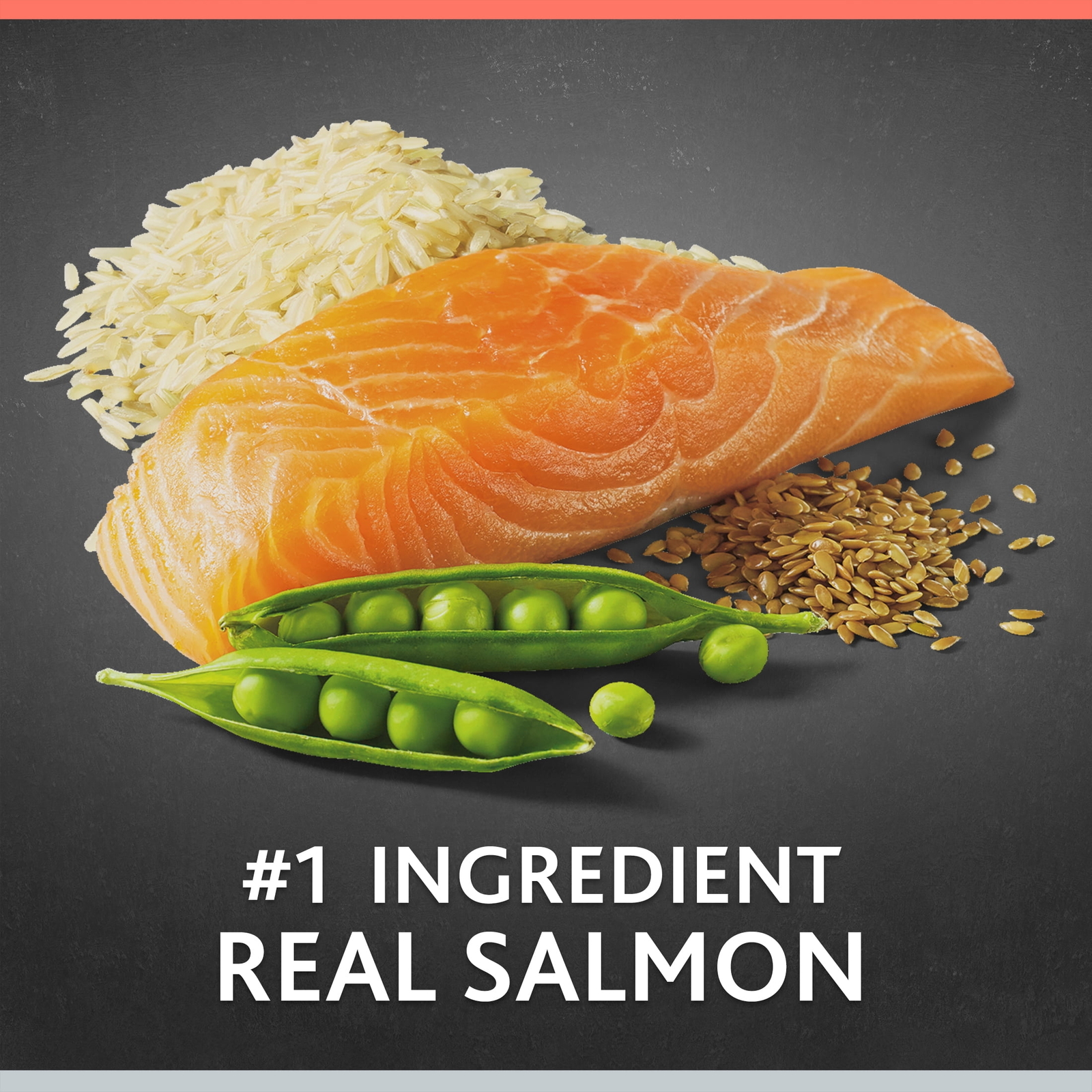 8 lbs, Senior Salmon & Brown Rice Recipe Dry Dog Food