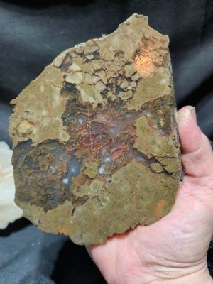 Thunder Egg Half w/ Red Moss Inclusions Polished Specimen (1lb 10oz)