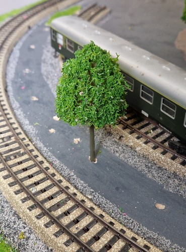 20 Medium Green Deciduous Trees, 95 mm, 9.5 cm High - Picture 5 of 22