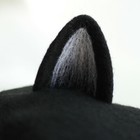 Picture 6 of 8