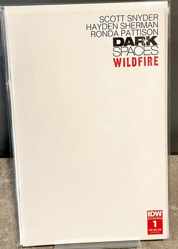 Dark Spaces: Wildfire #1 (IDW Publishing, 2022) Variant Cover E