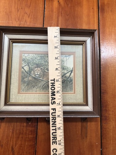 Vintage LION Picture Matted Framed 8"x9" - Picture 5 of 7