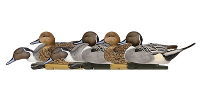 Avian X 8082, Topflight Pintails Life Size Pintails