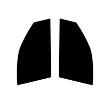 Pre Cut Car Window Tint for Smart Forfour 2014+ Front Windows Car Tinting Film