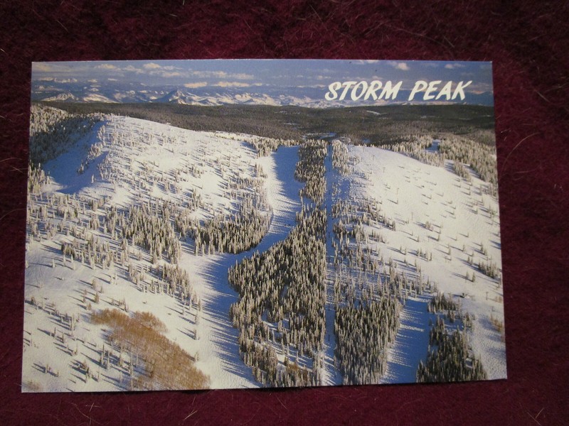 Steamboat Ski Area  Steamboat Springs, Colorado  Storm Peak  Postcard 4X6 Chrome