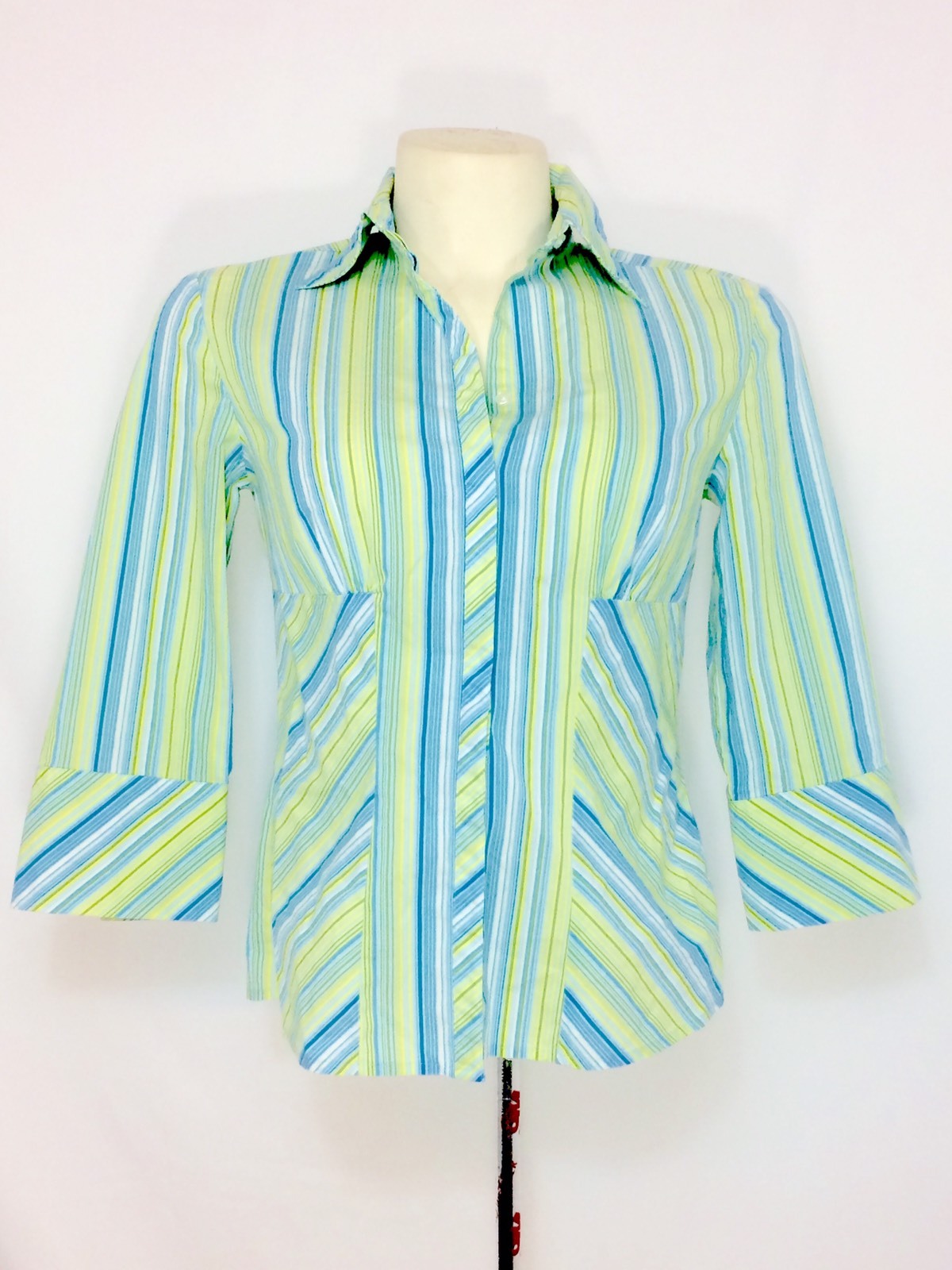 express button down blouse