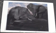 Great Photographic Print – MOUNTED ON ART BOARD – UNIQUE IMAGE – GDC