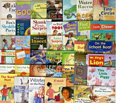 1st Grade Readers Levels E-L Fountas & Pinnell Homeschool Library - 42 Books