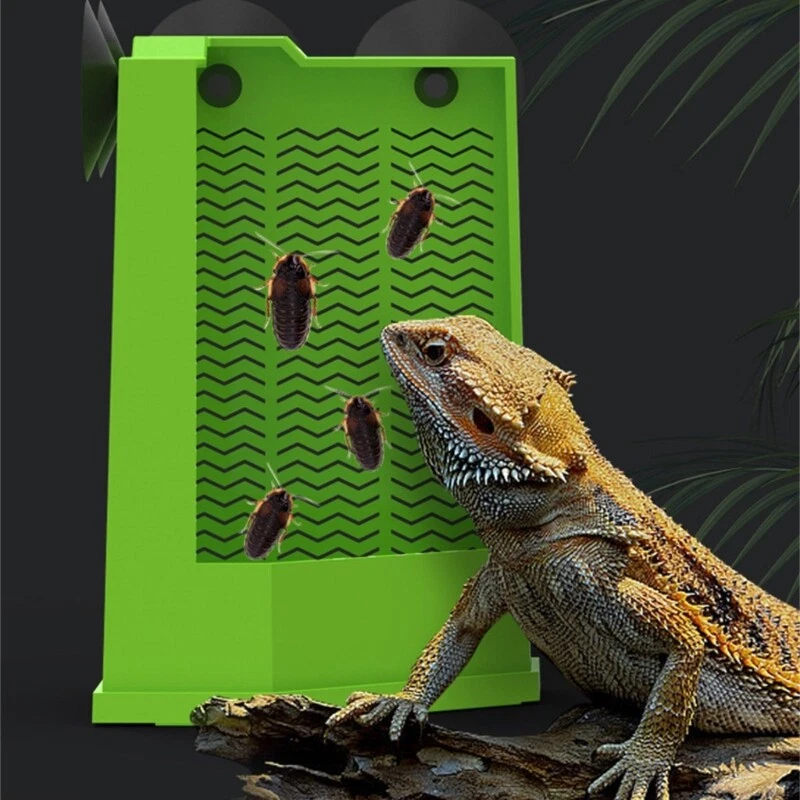 Picture 5 of 15