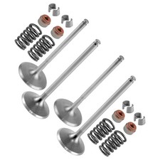 Caltric 420254358 420855029 Intake & Exhaust Valve Kit For Can-Am CanAm