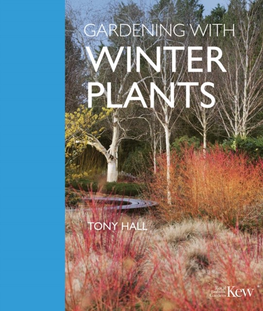 Gardening With Winter Plants
