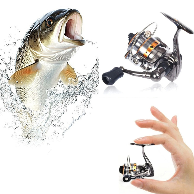 Carp Raft Fishing Wheel Fish Gear 4:3:1