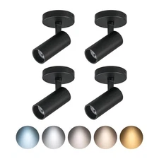 QIBANG12W 5CCT Dimmable LED Spotlights Indoor Fixtures, 2700K-6000K Selectabl...