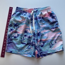 Chubbies Swim Shorts Men's Small Blue Pink Graphic Print 7" Inseam Lined Trunks