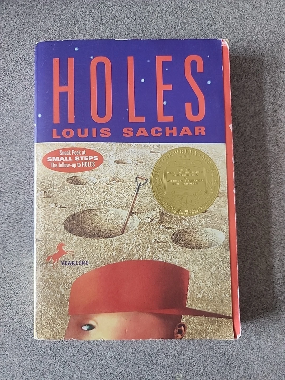 Holes Louis Sachar Paperback