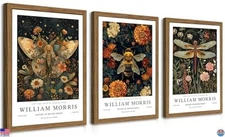 Vintage Animal Wall Art Set of 3, Framed Nature Prints for Home Decor 12x16In