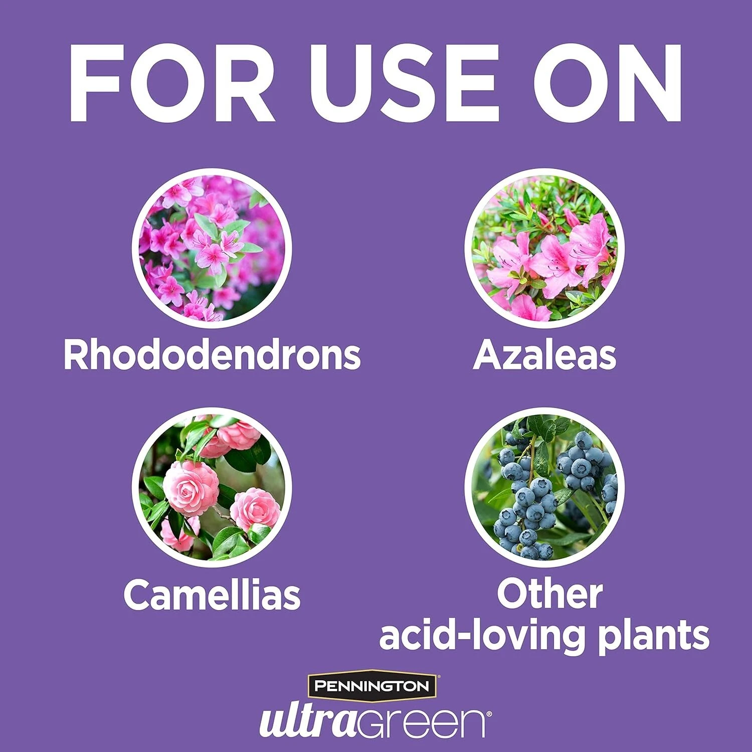 Pennington UltraGreen Azalea, Camellia & Rhododendron Plant Food - Thumbnail 2