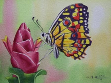 Butterfly, Flower, Garden, Original Watercolor Painting, Signed, Art, 14x10