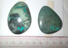Turquoise Stone Flat Free Form Cabochon 151.5 Carat 2 pieces 30.3 gram Lot A