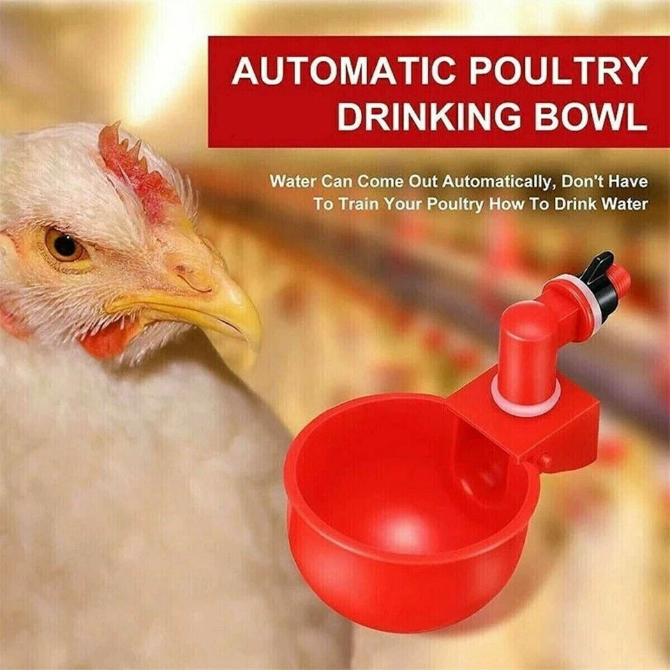 12 PIEZAS Tazas de Agua Automáticas Bebedero de Aves Pollo Pato Codorniz Beber Foto 4 de 4