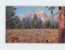 Postcard Grand Teton Peak Grand Teton National Park Wyoming USA
