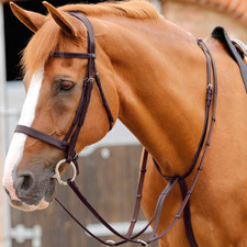 Premier Equine Fuscaldo Martingale Brown