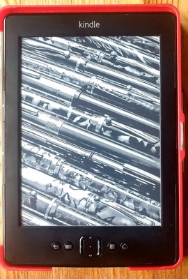 Amazon Kindle (4. Generation) E-Book D01100, Online Bücher, E-Buch, Gut