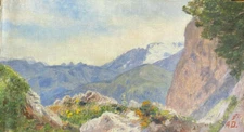 Oil Painting Monogr. a. D.Mountain Landscape With Mountains Rocks Wälder Flowers