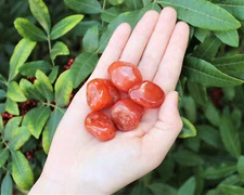 5 Carnelian Tumbled Stones, Medium (Crystal Healing Gemstone Reiki) US Seller