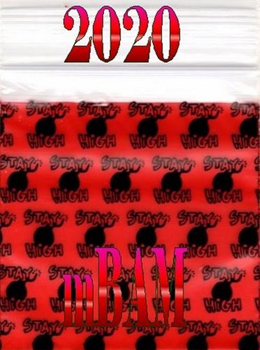 100 STAY HIGH BOMB LOT Apple Zip Baggies 2020 175175 1515 1510 125125 1010+ - Bild 2 von 12