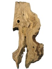 1x Oliven Wurzelholz Holz Baumscheibe 80x13-33cm x 49-50mm