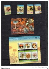 PAPOUASIE NOUVELLE GUINEE 2005 serie et 2 BF **