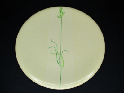 Dibbern Herbier  Style Primrose Bordier Teller  21 cm  ( K57#346f) 2.Wahl