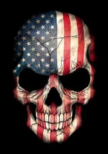 REFLECTIVE SKULL AMERICAN FLAG DECAL 3M STICKER USA TRUCK HELMET VEHICLE WINDOW