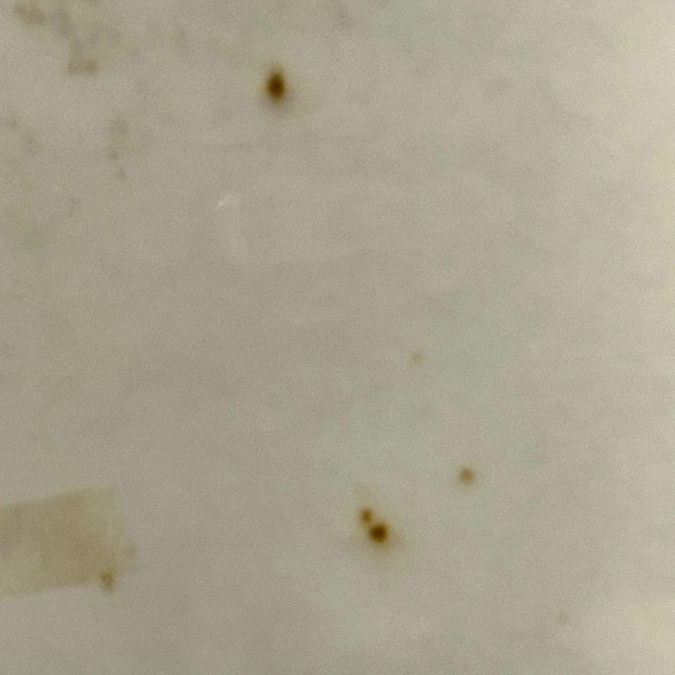 Vintage The Simpsons 3D Chess Set 1991 Board Game Complete Rare Nostalgic SEALED - Image 4 of 4