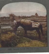 Japanese Farmer with Load of Rice, Japan, Original Color Stereoview Card
