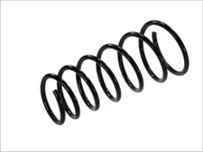 Magnum Technology SG119MT Coil Spring for FORD