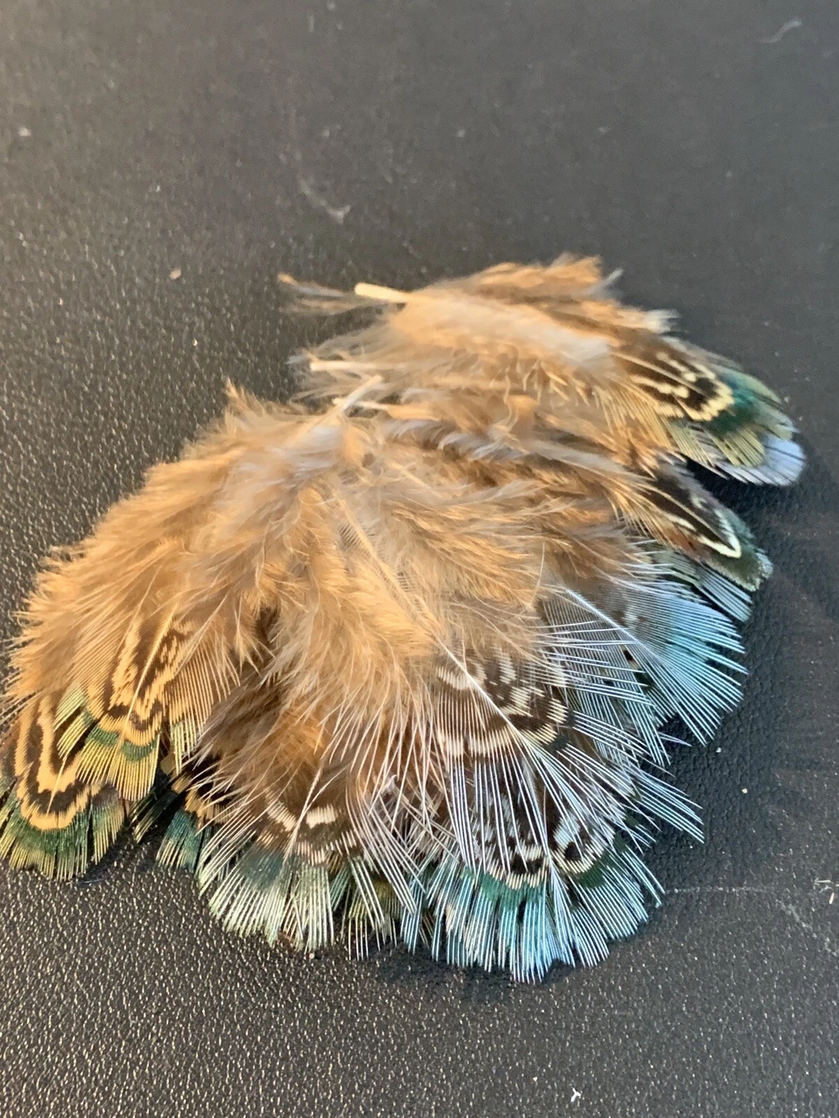 Picture 4 of 5