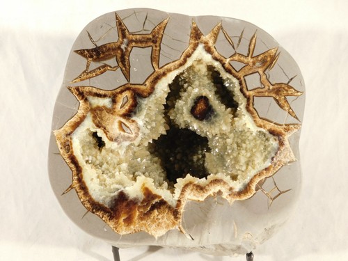 BIG! Polished AAA CRYSTAL Filled HOLLOW Septarian GEODE! From Utah 2171gr