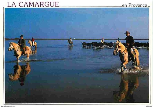 Livre CPM - En Camargue Avec Les Gardians - Chevaux Camarguais