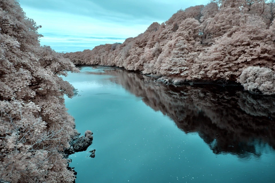 Infrared 680nm Long-Pass Filter 55mm,    For Full Spectrum Converted  IR - Image 4 of 4