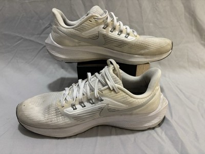 Pegasus 39 Men Size 10